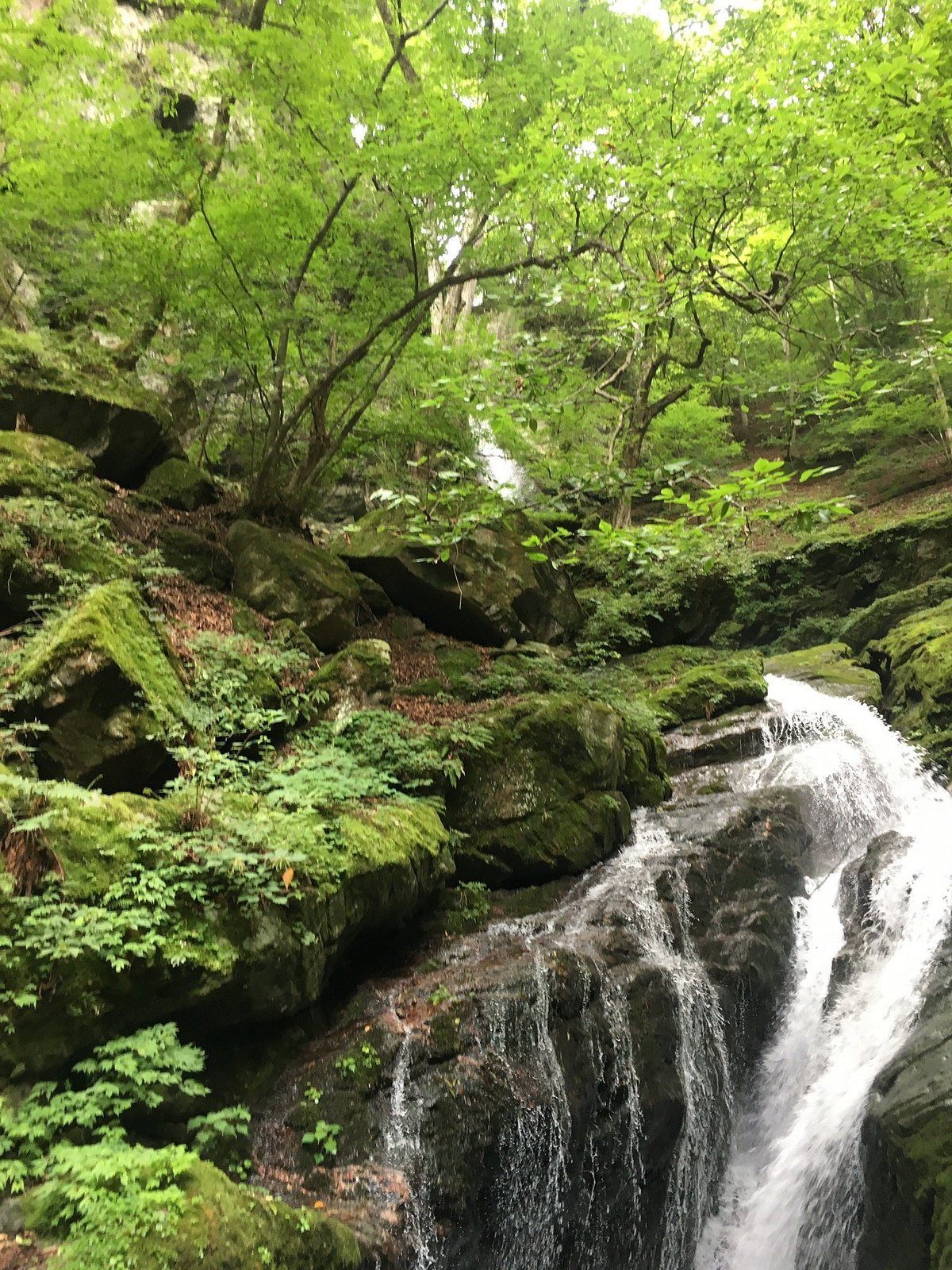 🌊 부동 폭포 (후도노타키) 이미지 4